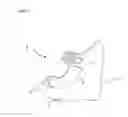 Fig. 09 - Proper posture high-heeled shoes