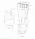Fig. 02 - Foot Support Shoe Insert