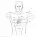 Fig. 01 - APPARATUS AND METHOD FOR CONTINUOUS NONINVASIVE MEASUREMENT OF RESPIRATORY FUNCTION AND EVENTS