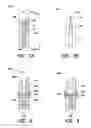 Fig. 09 - LANCET ANALYTE SENSORS AND METHODS OF MANUFACTURING