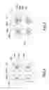 Fig. 05 - Transdermal microneedle array patch and method for manufacturing the same