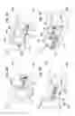 Fig. 07 - Radiological imaging device with improved functioning