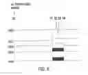 Fig. 06 - BIOLOGICAL INFORMATION PROCESSING APPARATUS AND BIOLOGICAL INFORMATION PROCESSING PROGRAM