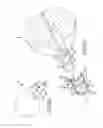 Fig. 45 - Methods of fusing a sacroiliac joint
