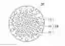 Fig. 01 - Bone connection material