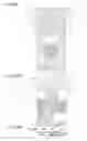 Fig. 09 - Knee joint supporter