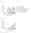 Fig. 04 - Peptide conjugated particles for the treatment of allergy