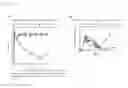 Fig. 06 - Peptide conjugated particles for the treatment of allergy