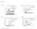 Fig. 07 - Peptide conjugated particles for the treatment of allergy