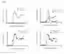 Fig. 09 - Peptide conjugated particles for the treatment of allergy
