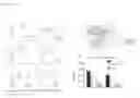 Fig. 19 - Peptide conjugated particles for the treatment of allergy