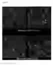 Fig. 33 - Peptide conjugated particles for the treatment of allergy