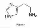 Fig. 02 - Histamine balance restoration methods