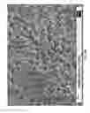 Fig. 03 - TOPICAL RETINOID FORMULATIONS, PROCESSES FOR MAKING AND METHODS OF USE