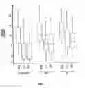 Fig. 02 - PHARMACEUTICAL COMPOSITIONS COMPRISING DEXTROMETHORPHAN AND QUINIDINE FOR THE TREATMENT OF NEUROLOGICAL DISORDERS