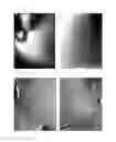 Fig. 02 - Synergistic Multi-Active Composition for Topical Treatment of Disorders in Mammals, Use of Composition, and Method
