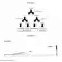 Fig. 02 - GLYCAN COMPOSITIONS, PROCESSES FOR PREPARING THE SAME AND THEIR USES AS A DRUG