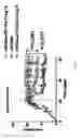 Fig. 02 - Methods and compositions for treating multiple sclerosis and related disorders