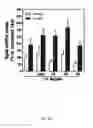 Fig. 07 - METHOD FOR PRODUCING AN ALGINATE COATED TITANIUM DIOXIDE SCAFFOLD