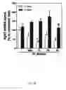 Fig. 08 - METHOD FOR PRODUCING AN ALGINATE COATED TITANIUM DIOXIDE SCAFFOLD