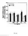 Fig. 09 - METHOD FOR PRODUCING AN ALGINATE COATED TITANIUM DIOXIDE SCAFFOLD