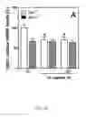 Fig. 22 - METHOD FOR PRODUCING AN ALGINATE COATED TITANIUM DIOXIDE SCAFFOLD
