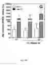 Fig. 32 - METHOD FOR PRODUCING AN ALGINATE COATED TITANIUM DIOXIDE SCAFFOLD