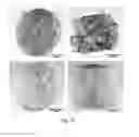 Fig. 35 - METHOD FOR PRODUCING AN ALGINATE COATED TITANIUM DIOXIDE SCAFFOLD