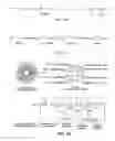 Fig. 22 - COMPOSITIONS FOR BIOMEDICAL APPLICATIONS