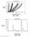 Fig. 28 - COMPOSITIONS FOR BIOMEDICAL APPLICATIONS
