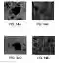 Fig. 35 - COMPOSITIONS FOR BIOMEDICAL APPLICATIONS