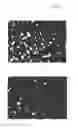 Fig. 02 - OSSEO-INDUCTIVE METAL IMPLANTS FOR A LIVING BODY AND THE PRODUCING METHOD THEREOF