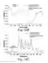 Fig. 20 - Cross-linked fatty acid-based biomaterials