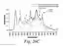 Fig. 23 - Cross-linked fatty acid-based biomaterials