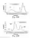 Fig. 25 - Cross-linked fatty acid-based biomaterials