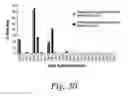 Fig. 28 - Cross-linked fatty acid-based biomaterials