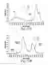 Fig. 29 - Cross-linked fatty acid-based biomaterials