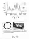 Fig. 30 - Cross-linked fatty acid-based biomaterials