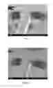 Fig. 02 - Methacrylate copolymers for medical devices