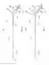 Fig. 09 - Occlusion perfusion catheter