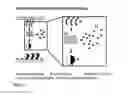 Fig. 08 - Device and method for real-time detection of molecular accumulations and/or monitoring the production process of a molecular microarray