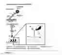 Fig. 12 - Device and method for real-time detection of molecular accumulations and/or monitoring the production process of a molecular microarray