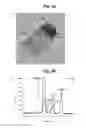Fig. 06 - JOINED STRUCTURE COMPRISING CUBE- OR QUADRATIC PRISM-SHAPED ROCK SALT-TYPE OXIDE NANOPARTICLE AND FINE METAL PARTICLE, AND METHOD OF PRODUCING SAME