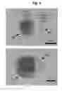 Fig. 09 - JOINED STRUCTURE COMPRISING CUBE- OR QUADRATIC PRISM-SHAPED ROCK SALT-TYPE OXIDE NANOPARTICLE AND FINE METAL PARTICLE, AND METHOD OF PRODUCING SAME