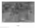 Fig. 02 - Hydrotreating catalyst and process for preparing the same