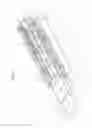 Fig. 06 - DEVICE FOR WASHING CONTAINERS FOR TRANSPORTING LIVE POULTRY