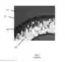 Fig. 04 - METHOD AND APPARATUS FOR OPTIMALLY LASER MARKING ARTICLES