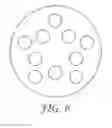 Fig. 06 - Abrasive element precursor with precisely shaped features and methods of making thereof