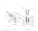 Fig. 43 - Compact robotic wrist