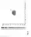 Fig. 09 - Emergency vehicle light fixture with reflective surface having alternating linear and revolved parabolic segments